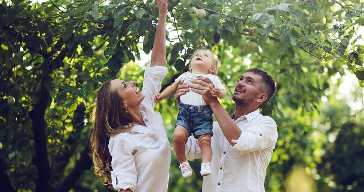 A family play together in the park